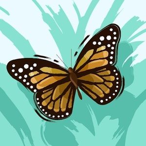 Meet your Posher, Britney